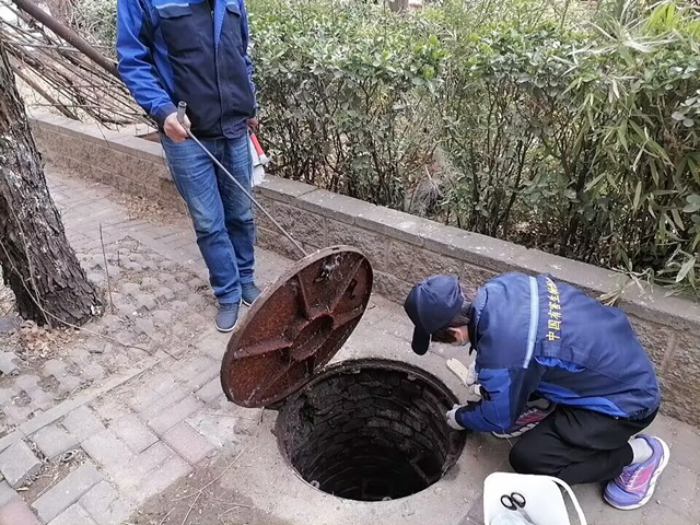 北京杀虫公司怎么挑选更合适呢？？？？？？有哪些技巧