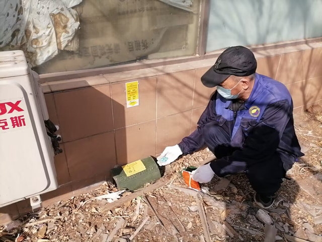东城鼠类避免怎么做更顺遂？？？？？北京ca88灭四害效劳