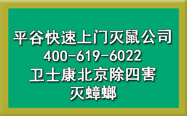 平谷快速上门灭鼠公司400-619-6022ca88北京除四害灭蟑螂