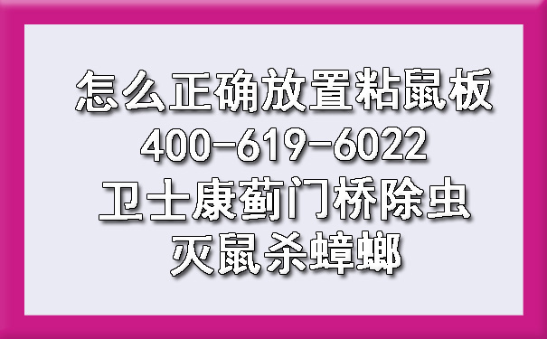 怎么准确安排粘鼠板400-619-6022ca88蓟门桥除虫灭鼠杀蟑螂