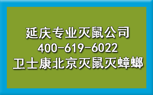 延庆专业灭鼠公司400-619-6022ca88北京灭鼠灭蟑螂