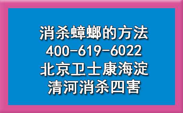 消杀蟑螂的要领400-619-6022北京ca88海淀清河消杀四害