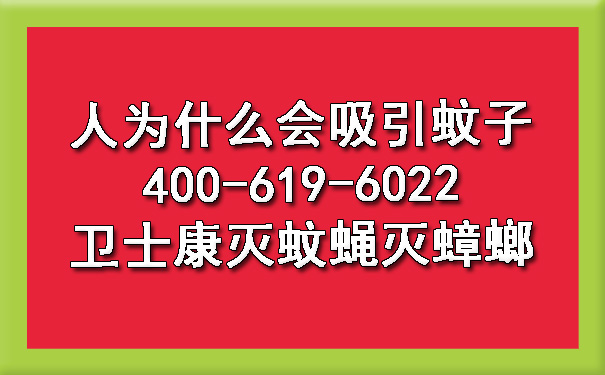 2024年人为什么会吸引蚊子400-619-6022ca88灭蚊蝇灭蟑螂