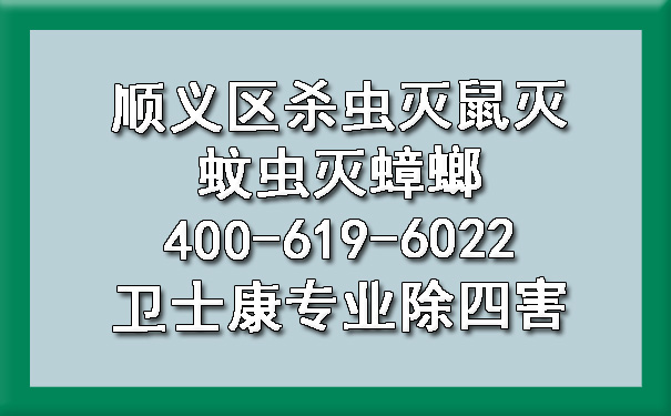 顺义区杀虫灭鼠灭蚊虫灭蟑螂400-619-6022ca88专业除四害