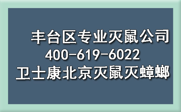 丰台区专业灭鼠公司400-619-6022ca88北京灭鼠灭蟑螂