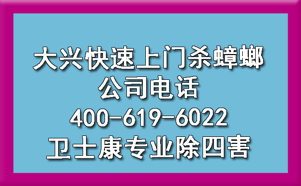 大兴快速上门杀蟑螂公司电话400-619-6022ca88专业除四害